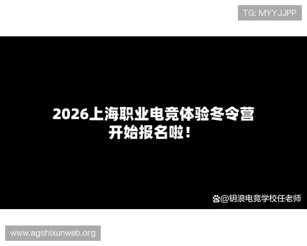 解析AG电竞登陆娱乐平台的职业发展道路，助你成就电竞梦想