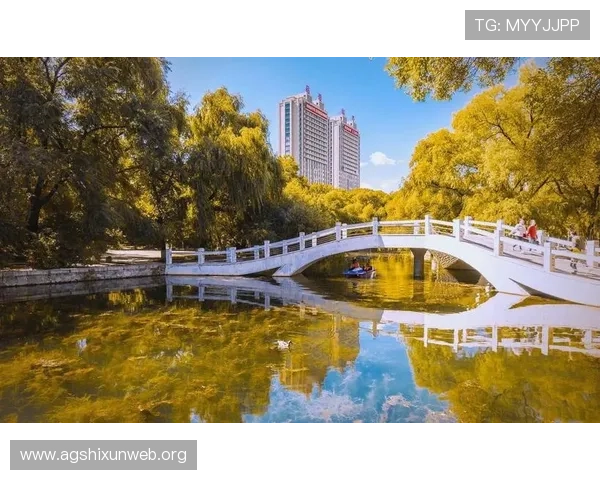 选择完美注册平台前须知的注意事项与实用建议