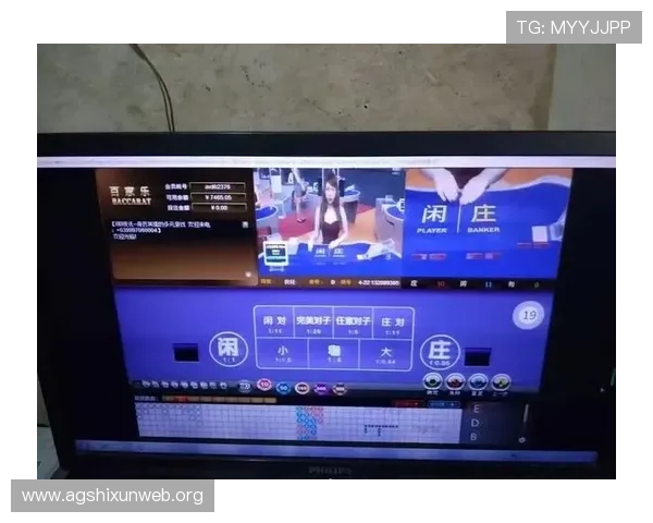 全面解析网络真人百家乐的优势与安全保障措施